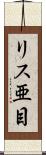 リス亜目 Scroll