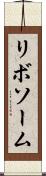 リボソーム Scroll