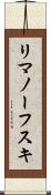リマノーフスキ Scroll