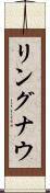 リングナウ Scroll