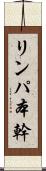 リンパ本幹 Scroll