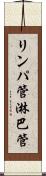 リンパ管 Scroll
