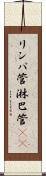 リンパ管 Scroll