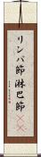リンパ節 Scroll