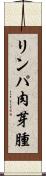リンパ肉芽腫 Scroll
