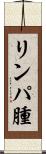 リンパ腫 Scroll