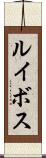ルイボス Scroll