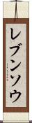 レブンソウ Scroll