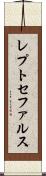 レプトセファルス Scroll