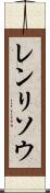 レンリソウ Scroll