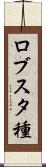 ロブスタ種 Scroll