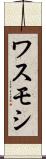 ワスモシ Scroll