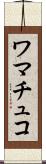 ワマチュコ Scroll