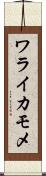 ワライカモメ Scroll