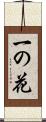 一の花 Scroll