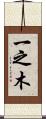 一之木 Scroll