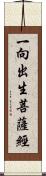 一向出生菩薩經 Scroll