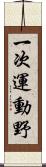 一次運動野 Scroll