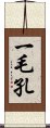 一毛孔 Scroll