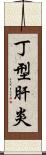 丁型肝炎 Scroll