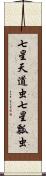 七星天道虫 Scroll