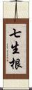 七生根 Scroll