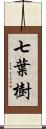 七葉樹 Scroll