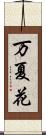 万夏花 Scroll