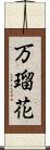 万瑠花 Scroll