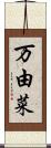 万由菜 Scroll