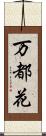 万都花 Scroll