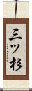 三ッ杉 Scroll