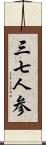 三七人参 Scroll