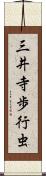 三井寺歩行虫 Scroll