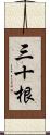 三十根 Scroll