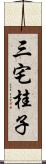 三宅桂子 Scroll