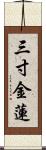 三寸金蓮 Scroll