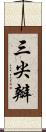 三尖瓣 Scroll