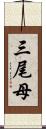 三尾母 Scroll