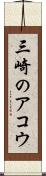 三崎のアコウ Scroll