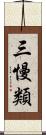 三慢類 Scroll