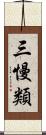 三慢類 Scroll