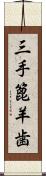 三手篦羊歯 Scroll