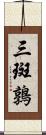 三斑鶉 Scroll