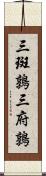 三斑鶉 Scroll