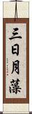 三日月藻 Scroll