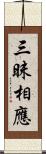 三昧相應 Scroll