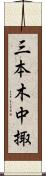 三本木中掫 Scroll