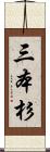 三本杉 Scroll