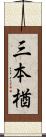 三本楢 Scroll